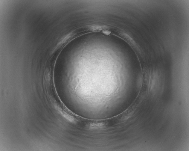 X0000080780357200612151435