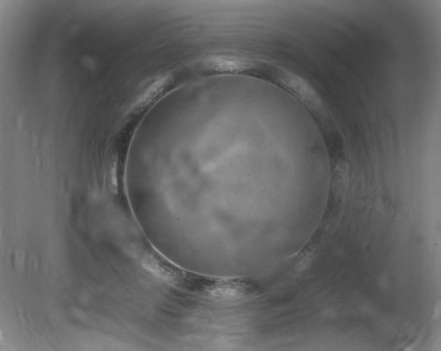 X0000080780358200612151435
