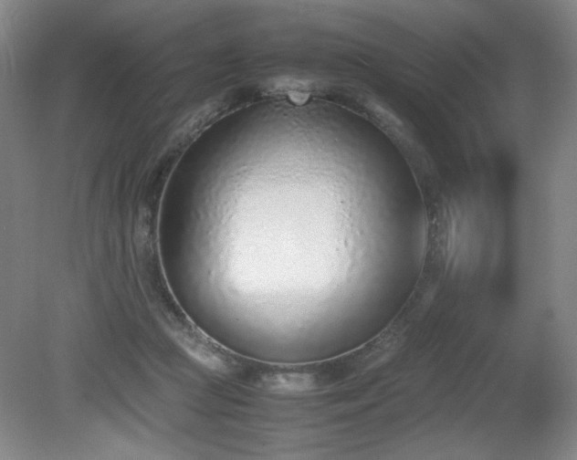 X0000080780361200612151435