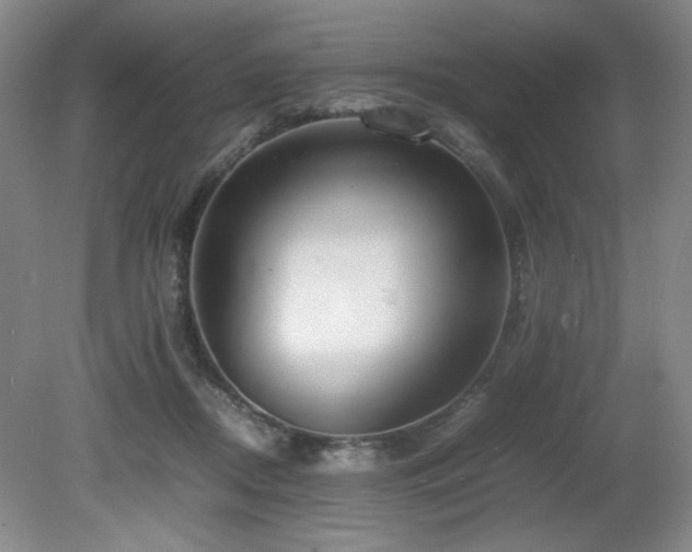 X0000080780362200612151435
