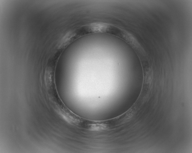 X0000080780363200612151435