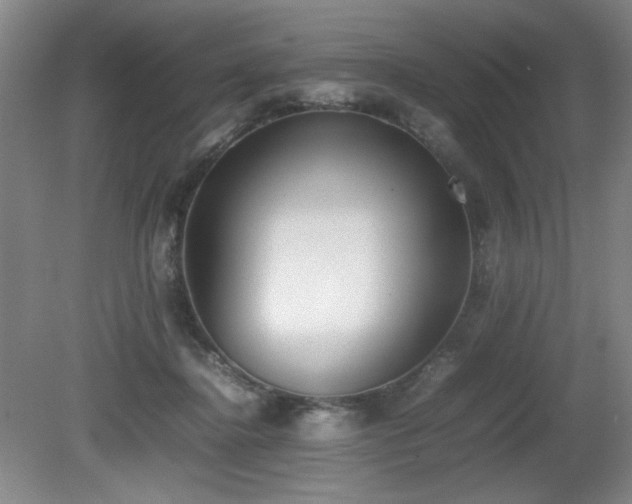 X0000080780364200612151435
