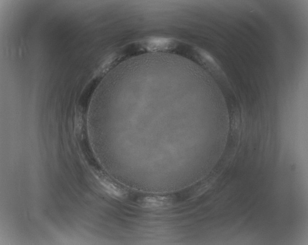 X0000080780367200612151435