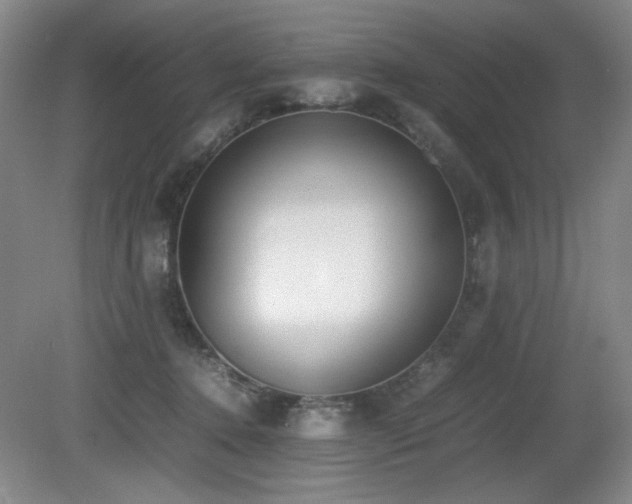 X0000080780368200612151435