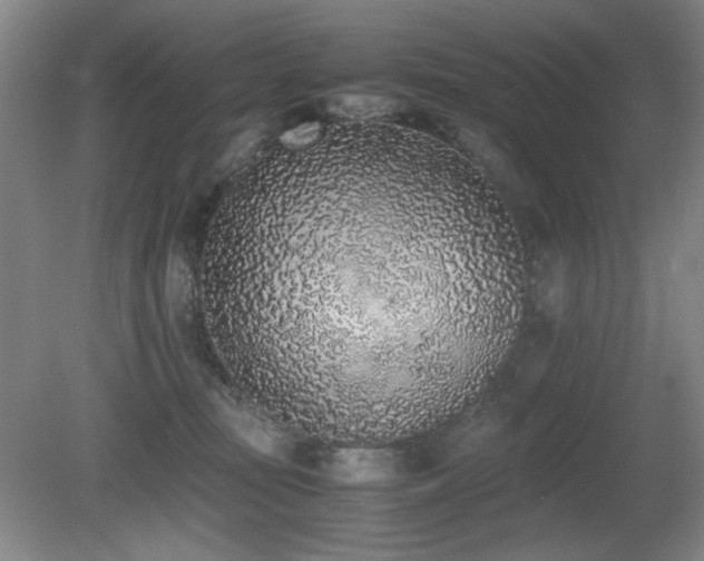 X0000080780371200612151435