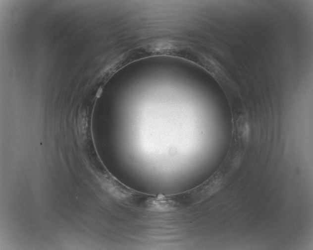 X0000080780372200612151435