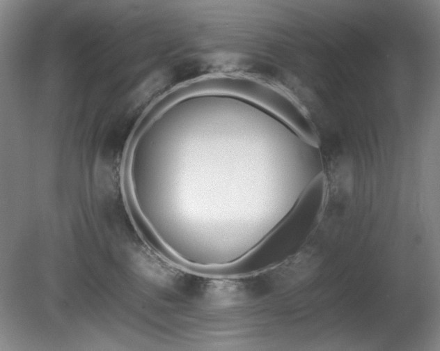 X0000080780376200612151435