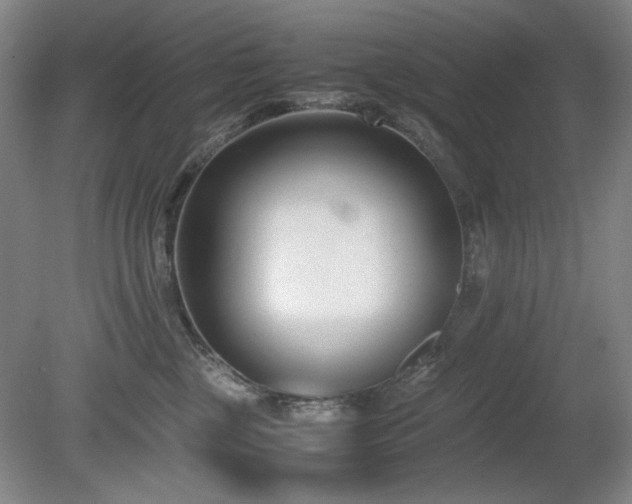 X0000080780377200612151435
