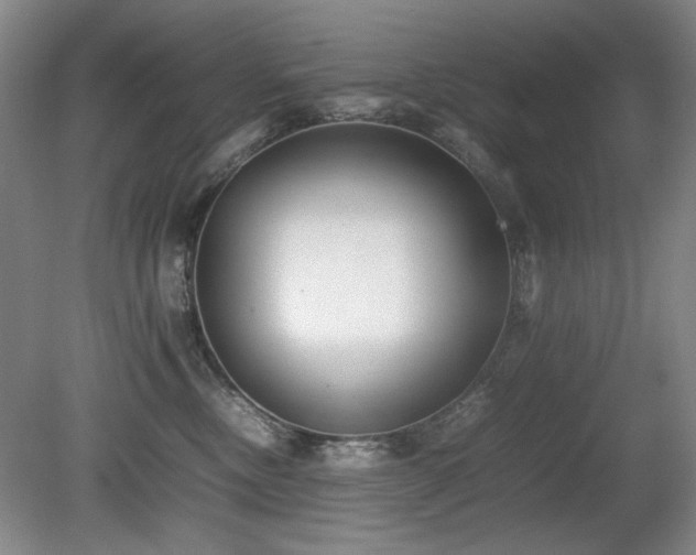 X0000080780378200612151435