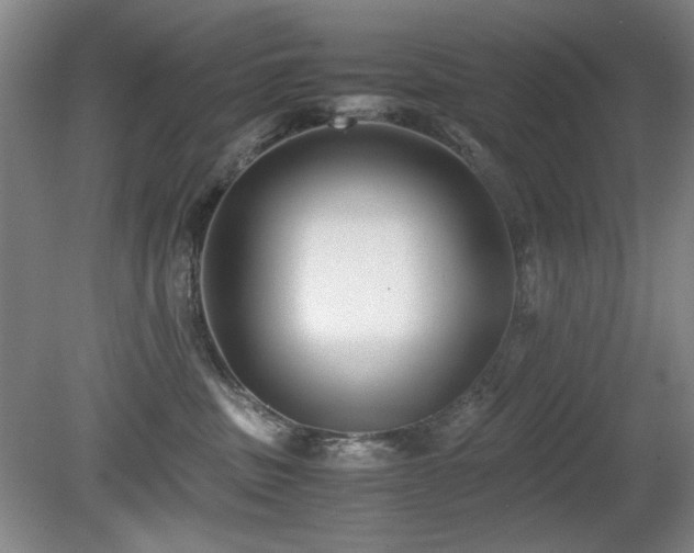 X0000080780379200612151435