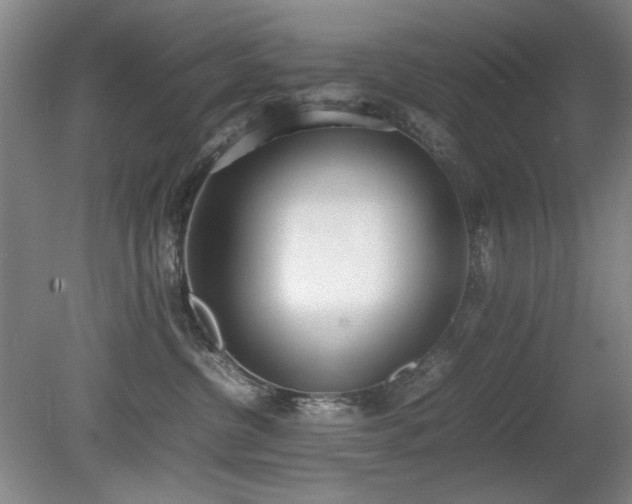 X0000080780380200612151435