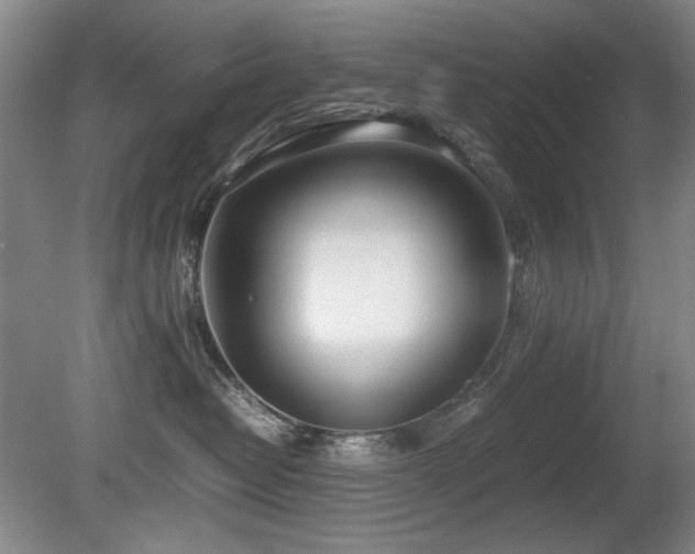X0000080780382200612151435