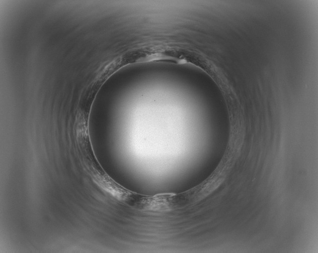 X0000080780384200612151435
