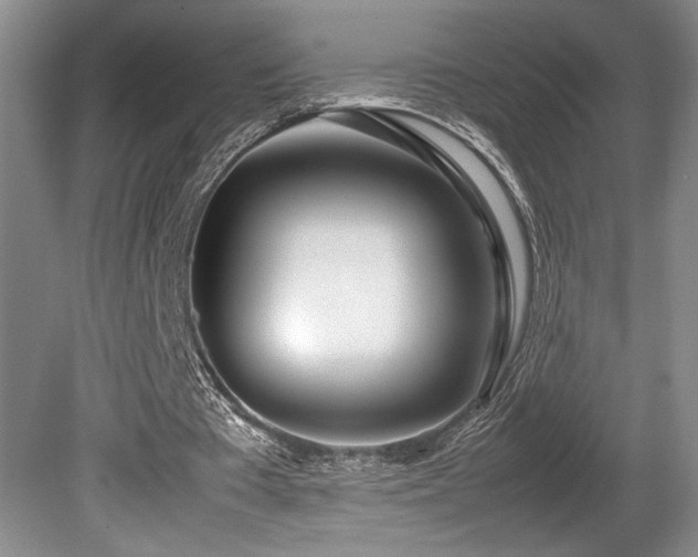 X0000080780385200612151434