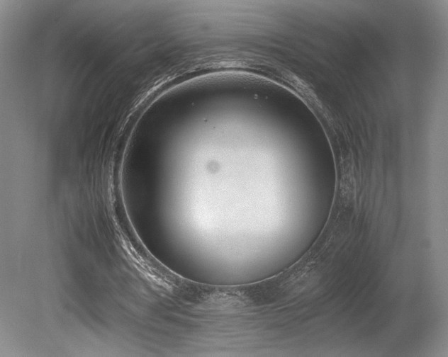 X0000080780386200612151434