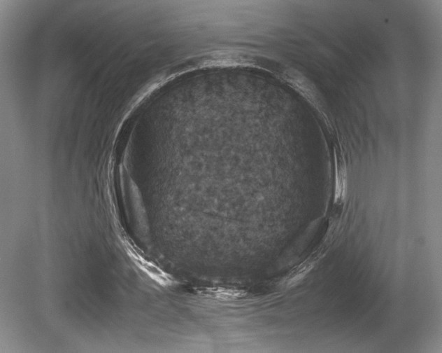 X0000080780387200612151434