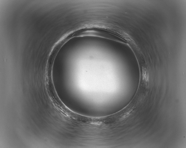 X0000080780388200612151434