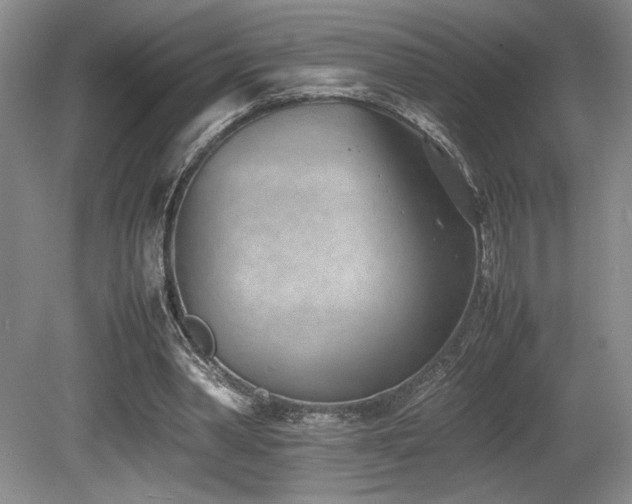 X0000080780390200612151434