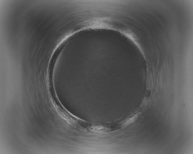 X0000080780391200612151434