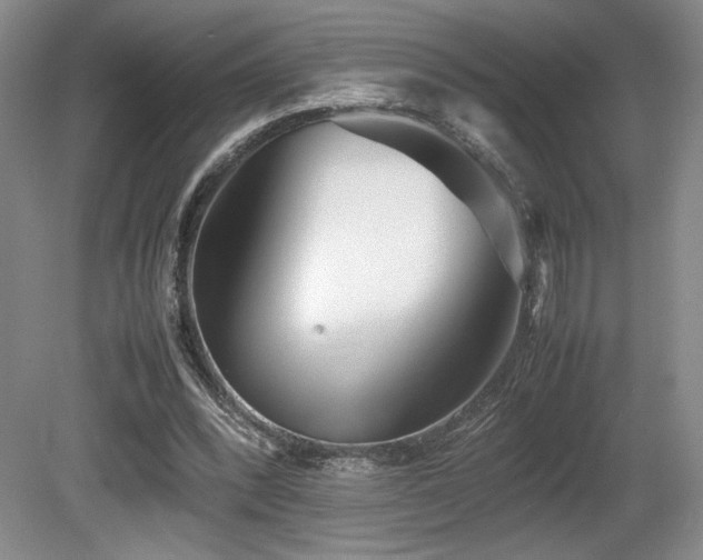 X0000080780392200612151434