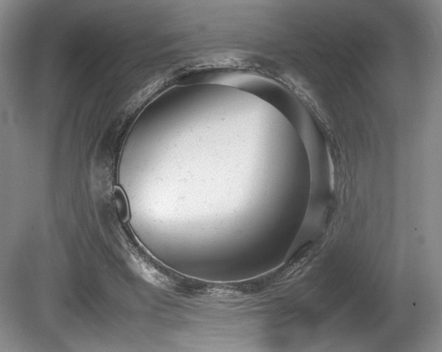 X0000080780393200612151434