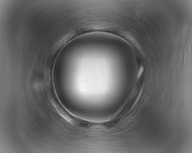 X0000080780397200612151434