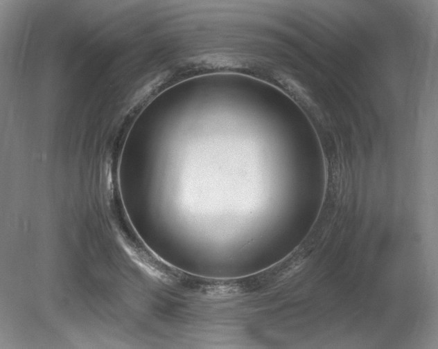 X0000080780398200612151434
