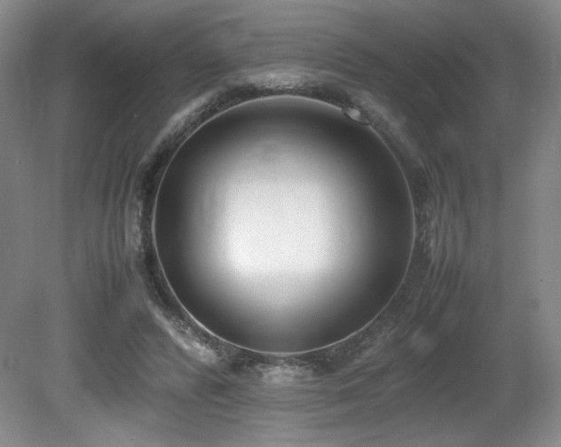 X0000080780400200612151434