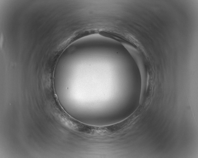 X0000080780401200612151434