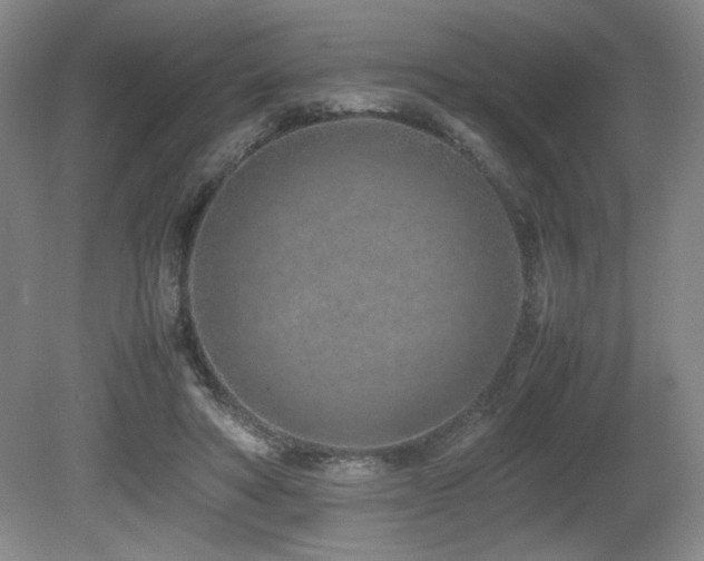 X0000080780402200612151434