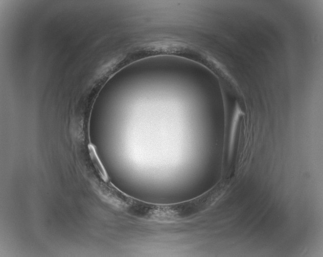 X0000080780403200612151434