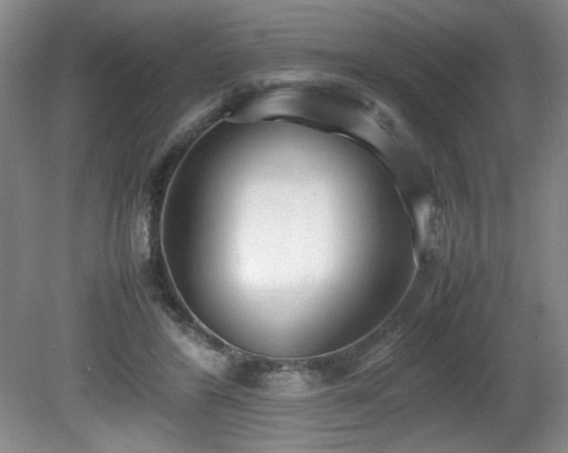 X0000080780404200612151434