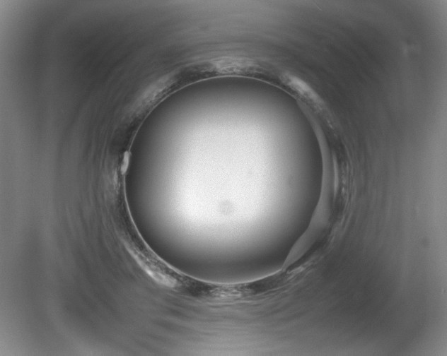 X0000080780405200612151434