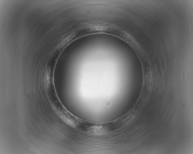 X0000080780406200612151434