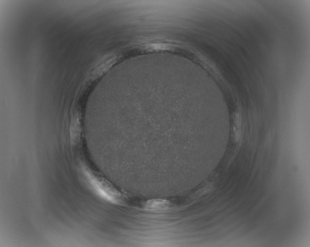 X0000080780410200612151434
