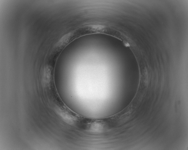 X0000080780412200612151434