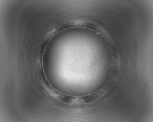 X0000080780415200612151434