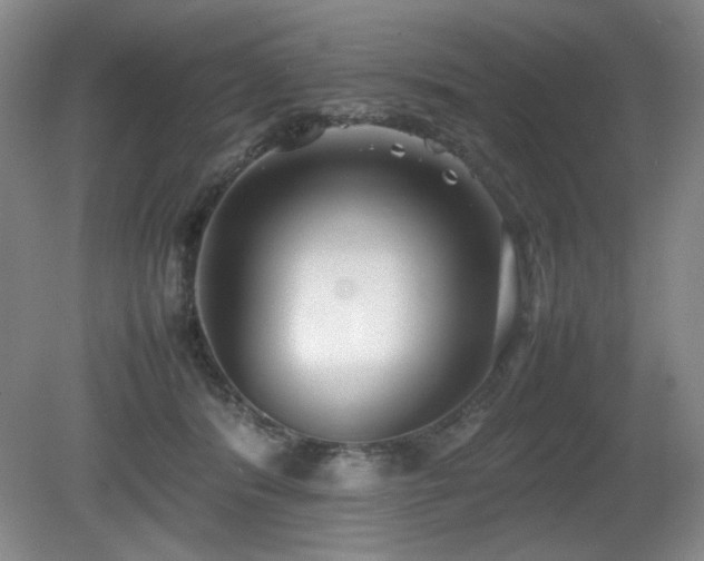 X0000080780416200612151434