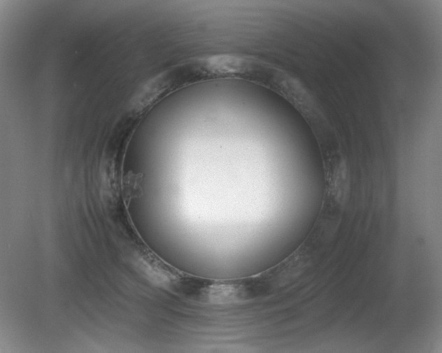 X0000080780418200612151434