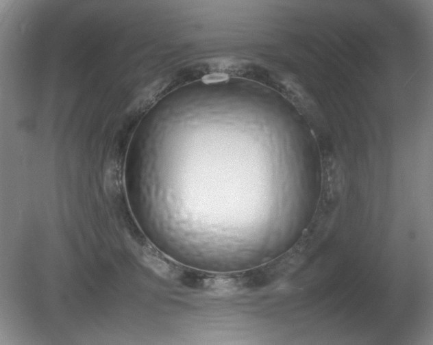X0000080780419200612151434