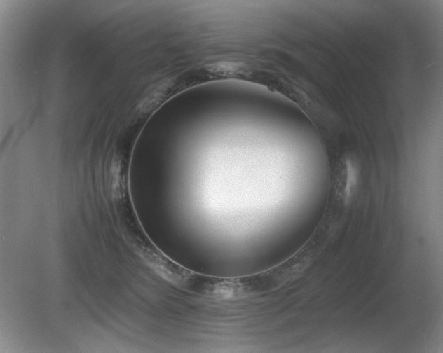X0000080780420200612151434