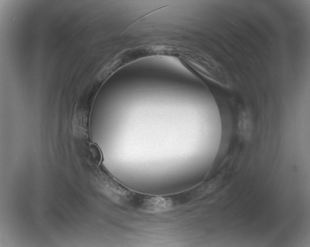 X0000080780421200612151434
