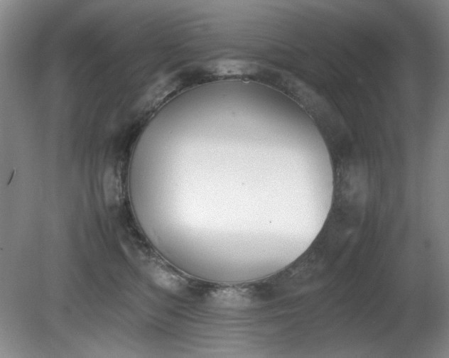 X0000080780422200612151434