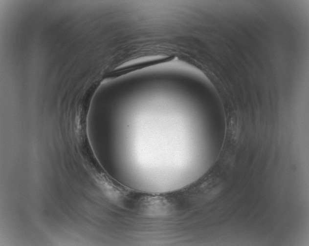 X0000080780424200612151434