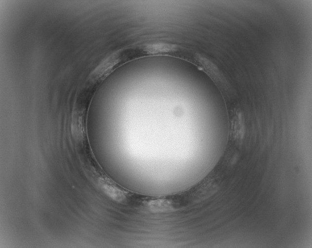 X0000080780426200612151434
