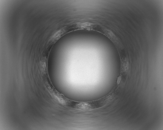 X0000080780427200612151434