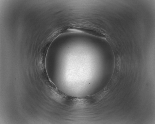 X0000080780428200612151434