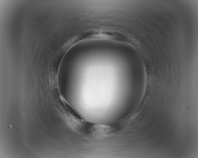 X0000080780429200612151434