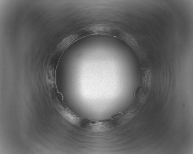 X0000080780430200612151434