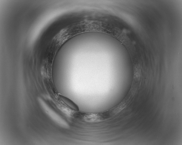 X0000080780431200612151434